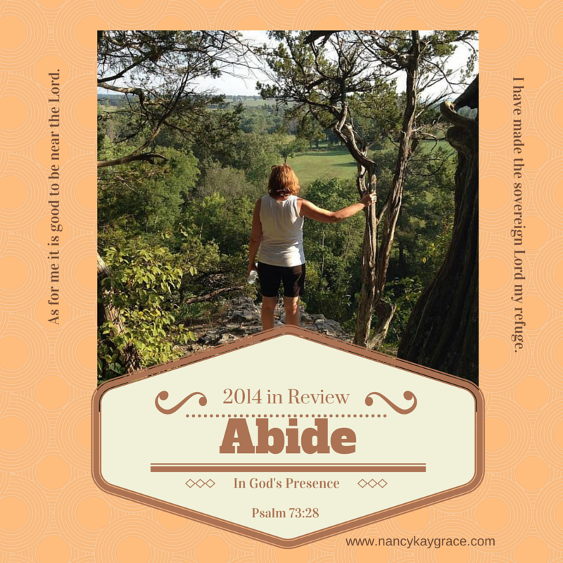 Abide – 2014 in Review