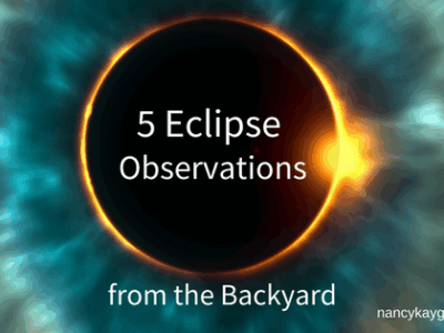 5 Eclipse Observations