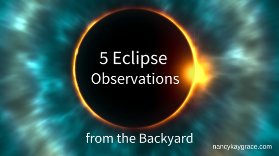 5 Eclipse Observations