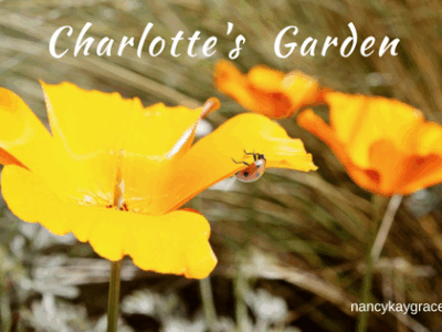 Charlotte's Garden