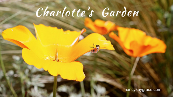 Charlotte's Garden