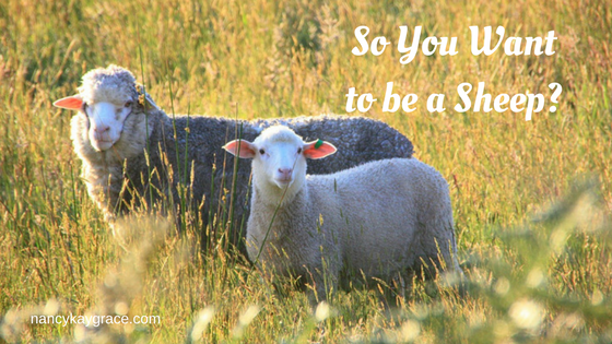 So You Want to Be a Sheep?