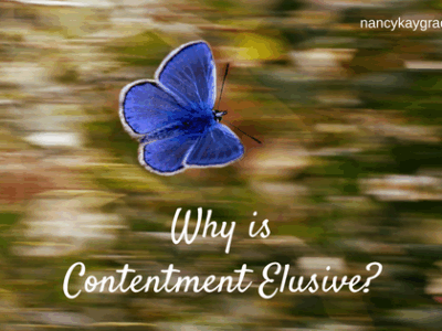 elusive contentment
