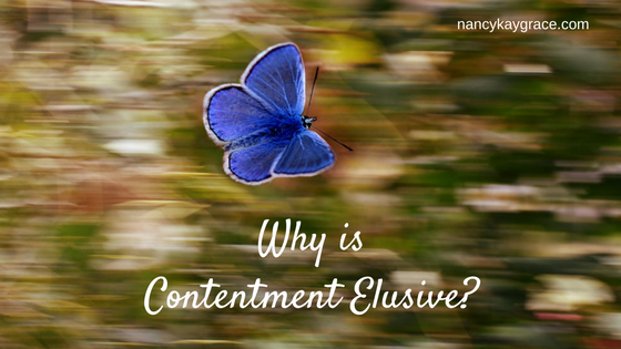 elusive contentment