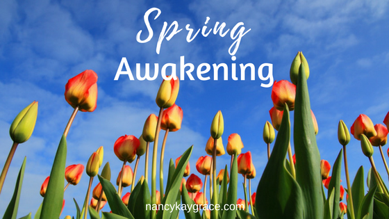 Spring Awakening of the Soul