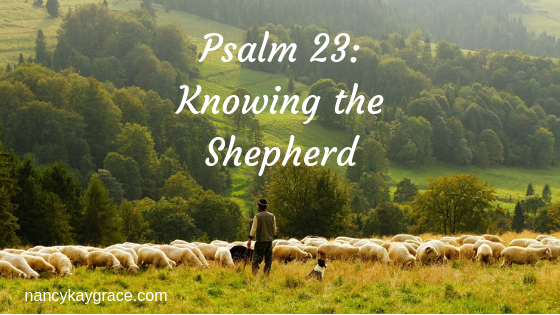 Psalm 23: Knowing the Shepherd