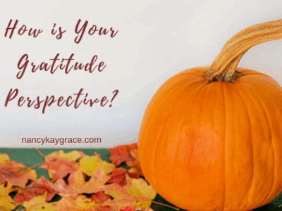 Gratitude Perspective