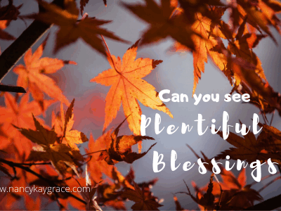 Can You See Plentiful Blessings?