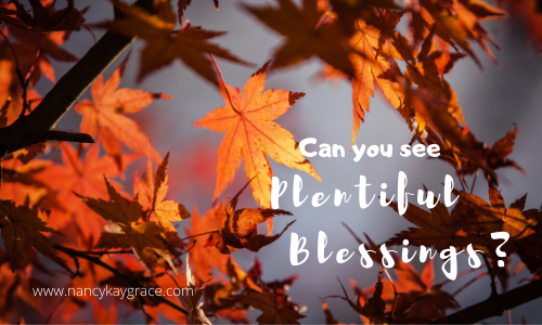 Can You See Plentiful Blessings?