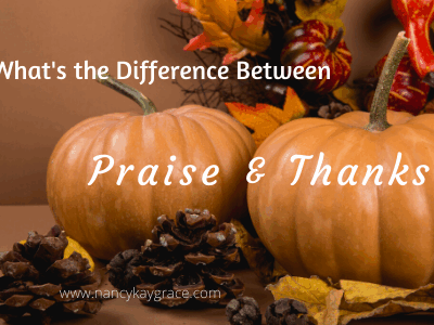 Difference between praise & thanks