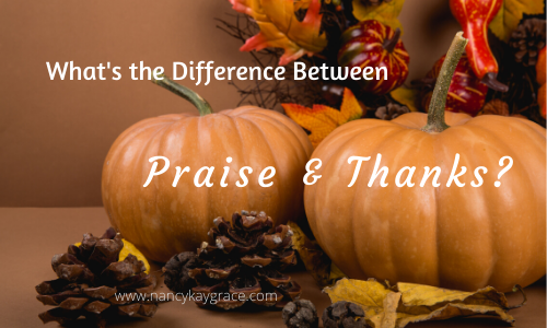 Difference between praise & thanks