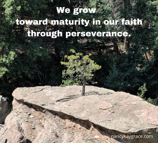 we grow through perseverance