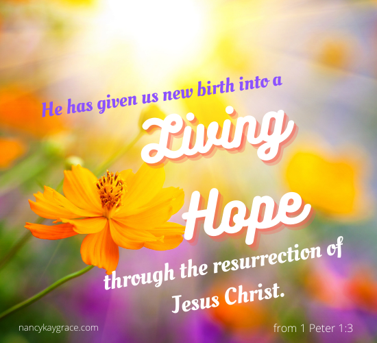 Resurrection hope 1 peter1.3