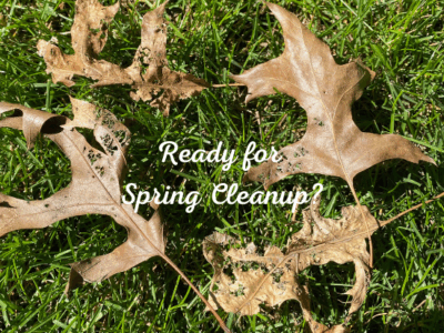 Spring cleanup
