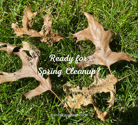 Ready for Spring Cleanup?
