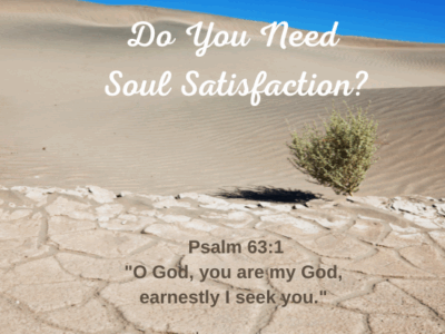 Do you Need Soul Satisfaction