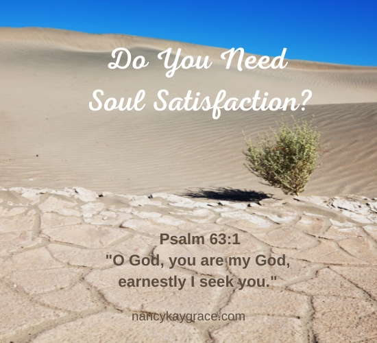 Do you Need Soul Satisfaction