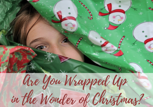 Wrapped up in wonder