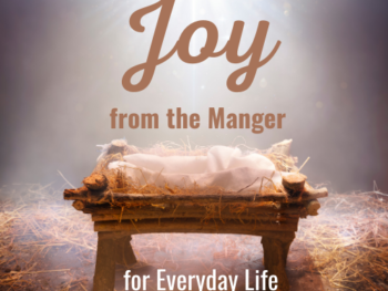 Joy from the Manger