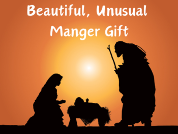 The Beautiful, Unusual Manger Gift