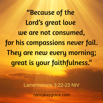 dwell in hope Lamentations 3;22-23